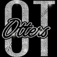 GLT95 SILVER GLITTER Thumbnail