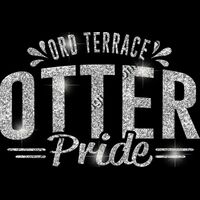 GLT62 SILVER GLITTER Thumbnail